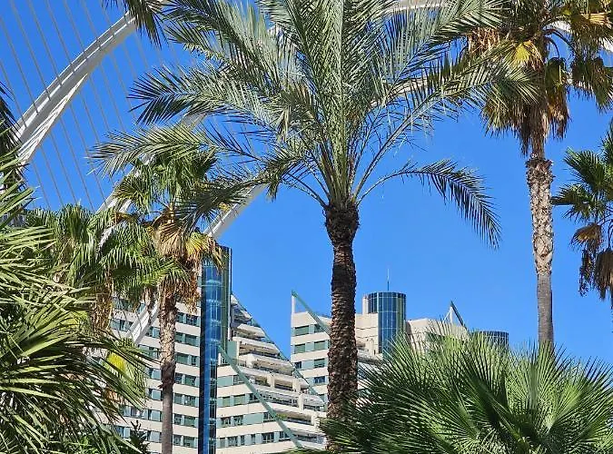 Ciencias B Valencia